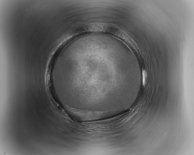 X0000094190723200710261131