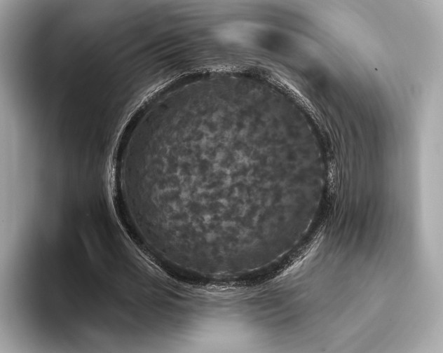 X0000094190725200710261131