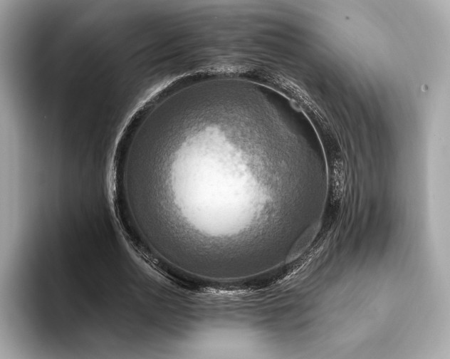 X0000094190726200710261131