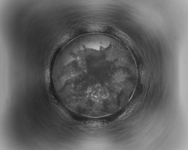 X0000094190729200710261131