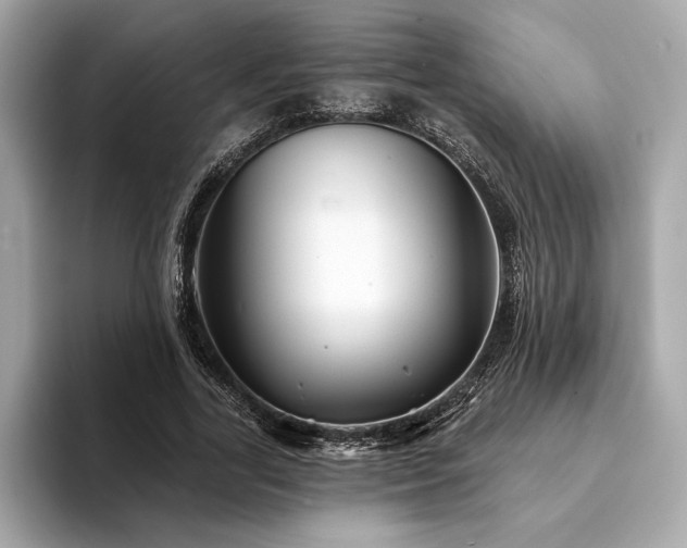 X0000094190731200710261131