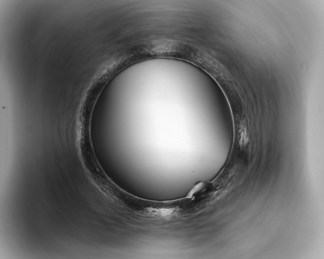 X0000094190732200710261131