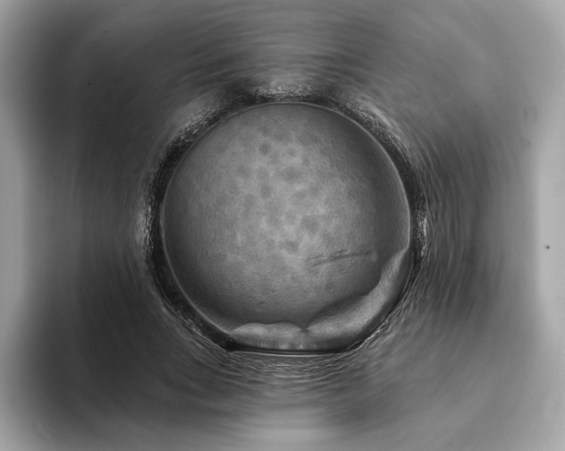 X0000094190735200710261131