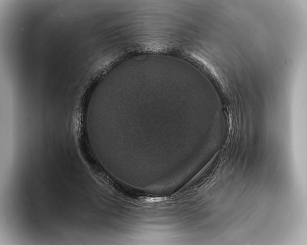 X0000094190736200710261131