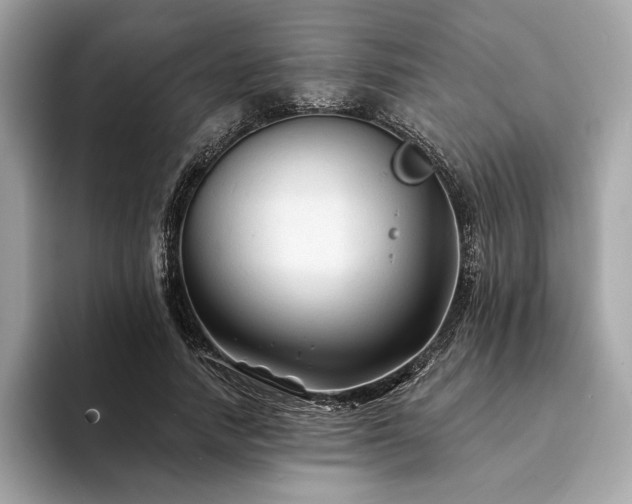 X0000094190738200710261131