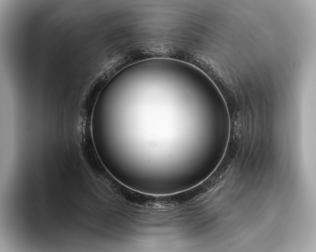X0000094190739200710261131