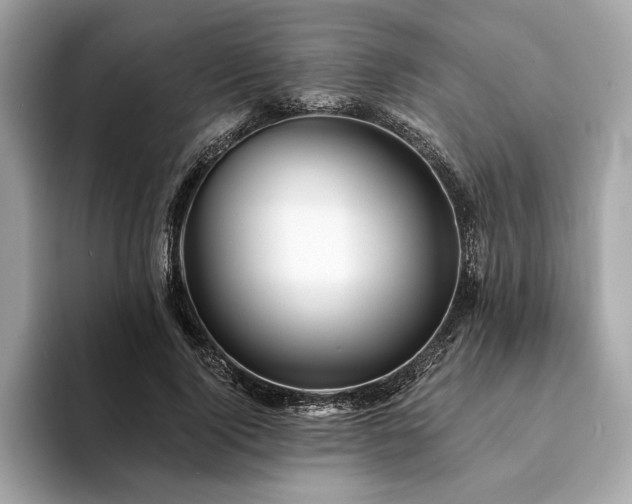 X0000094190740200710261131