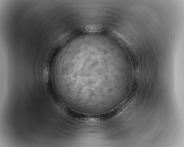 X0000094190741200710261131