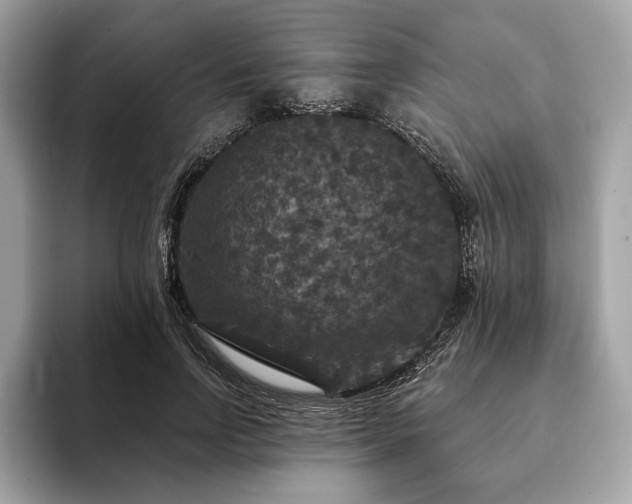 X0000094190742200710261131