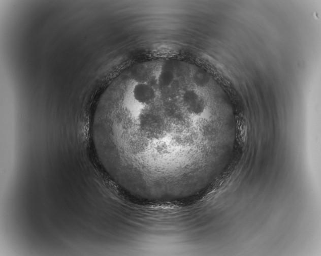 X0000094190745200710261131