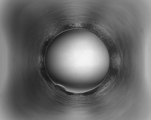 X0000094190747200710261131