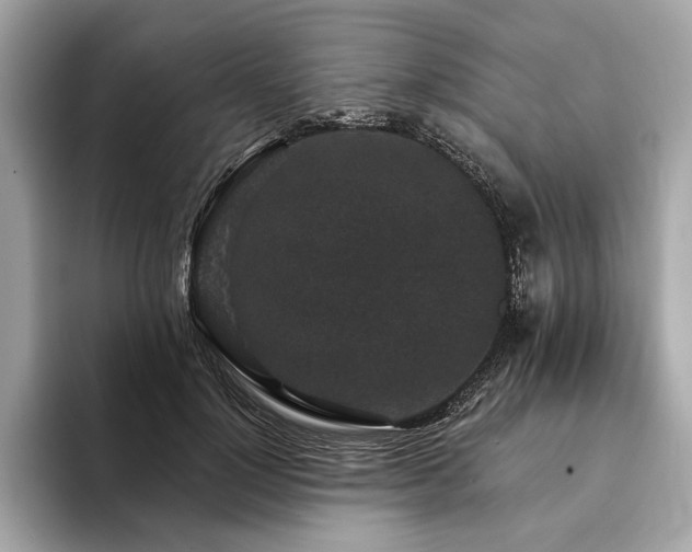 X0000094190748200710261131