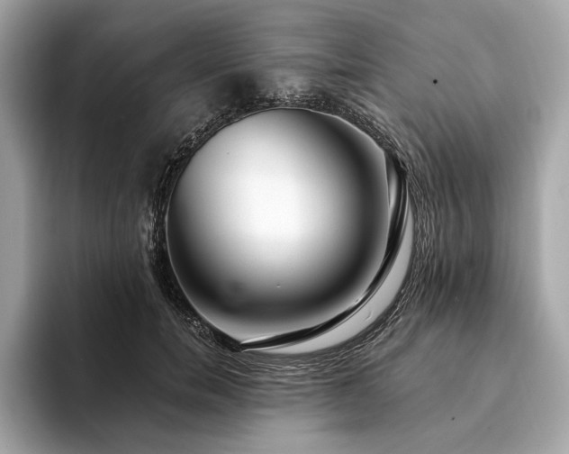 X0000094190750200710261131