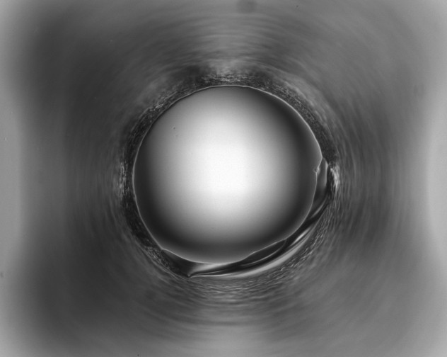 X0000094190752200710261131