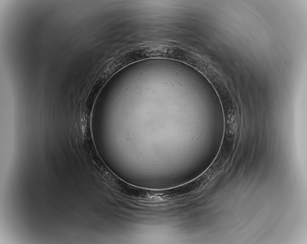 X0000094190753200710261131
