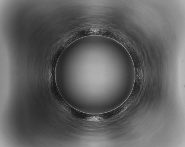 X0000094190754200710261131