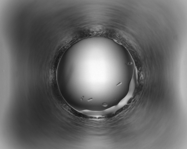 X0000094190756200710261131