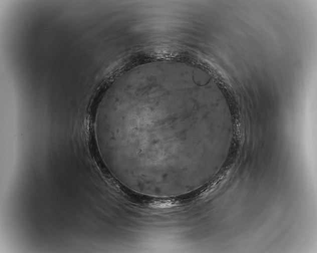 X0000094190757200710261131
