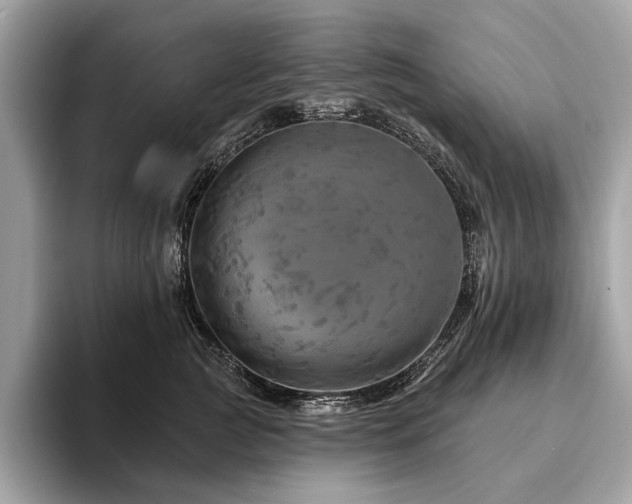 X0000094190761200710261131