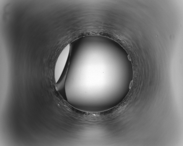 X0000094190768200710261131