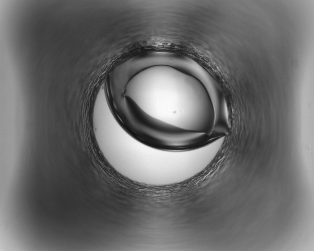 X0000094190769200710261131