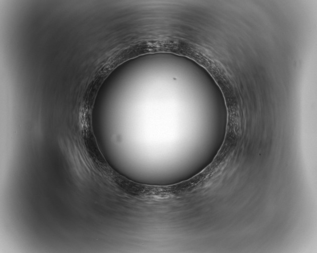 X0000094190770200710261131
