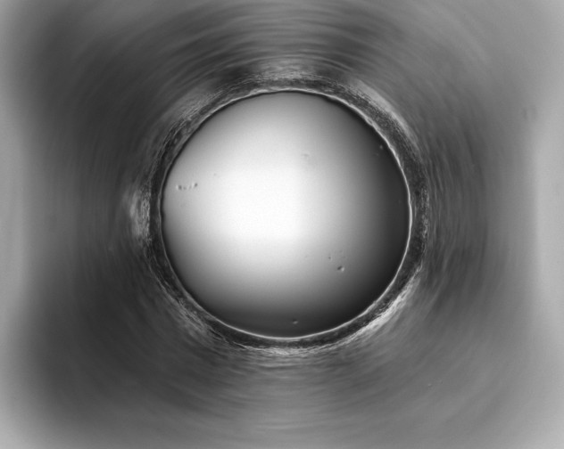 X0000094190777200710261131