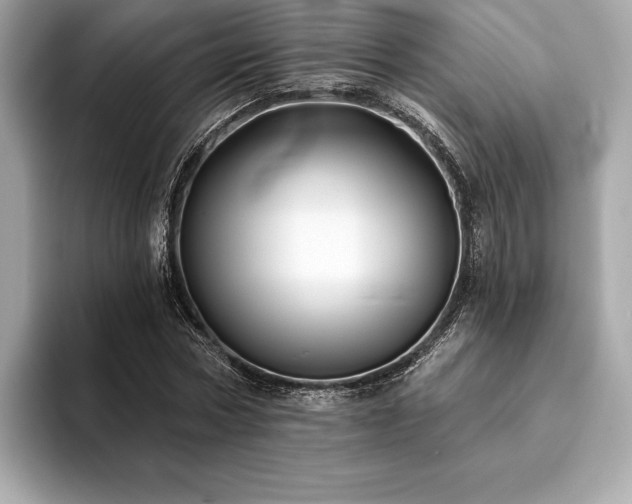 X0000094190778200710261131