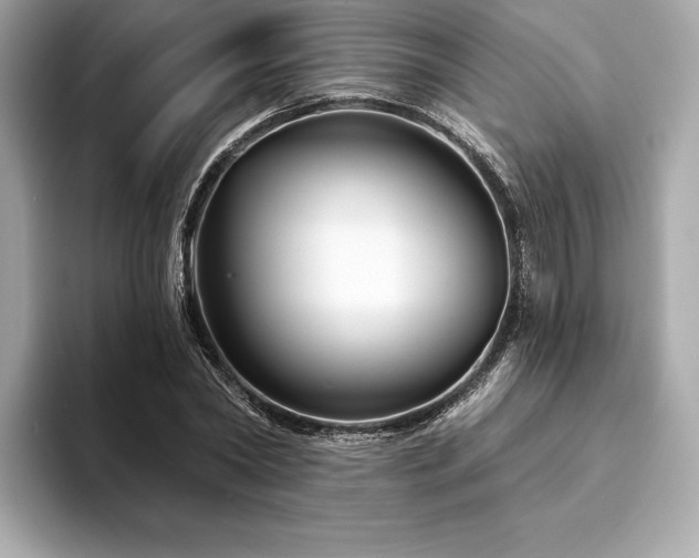 X0000094190782200710261131