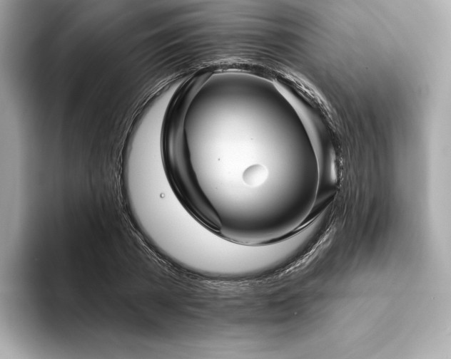 X0000094190785200710261131