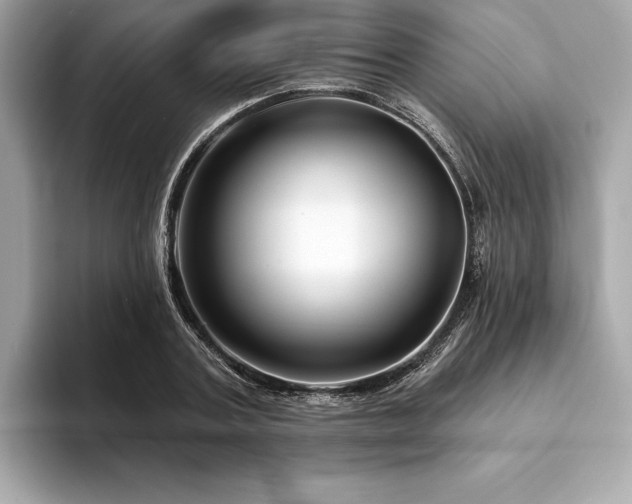 X0000094190787200710261130
