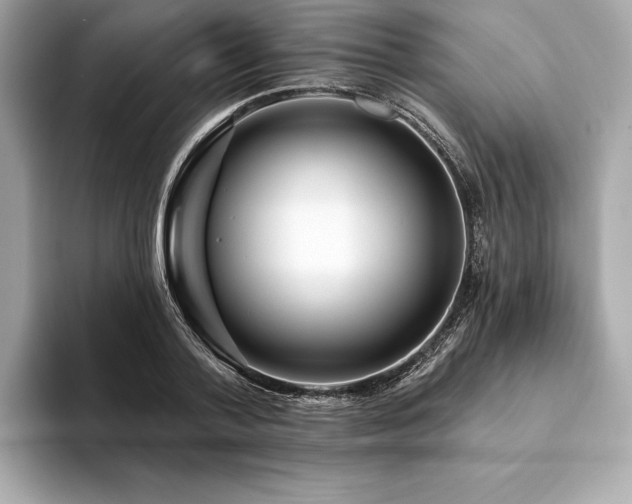 X0000094190788200710261130