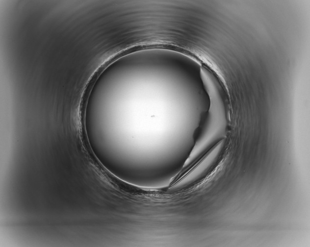 X0000094190789200710261130