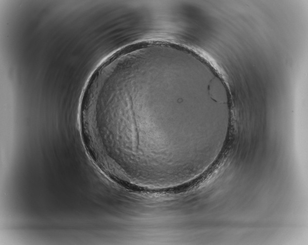 X0000094190791200710261130
