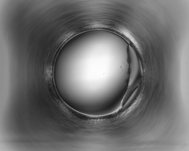 X0000094190793200710261130