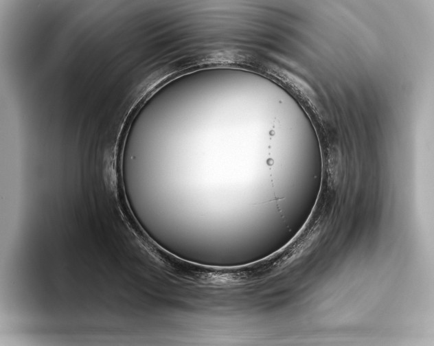 X0000094190794200710261130