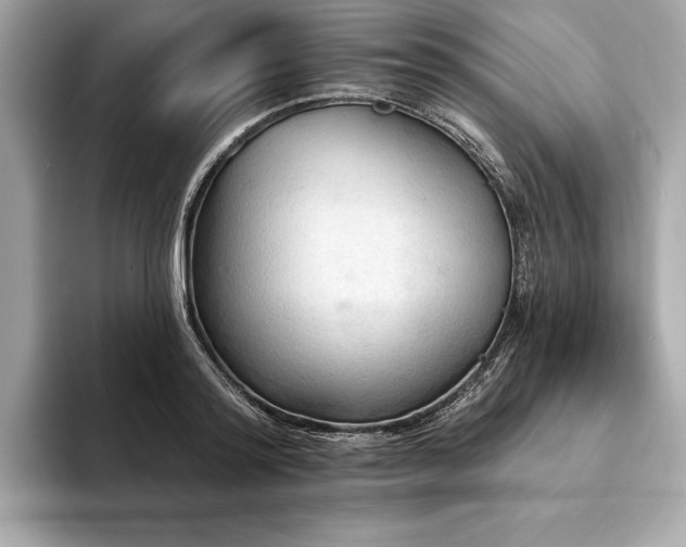 X0000094190796200710261130
