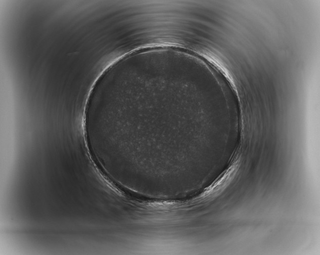 X0000094190797200710261130
