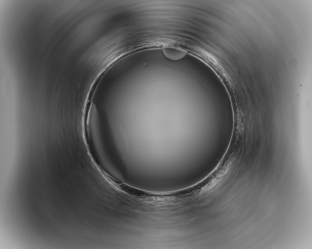 X0000094190802200710261130