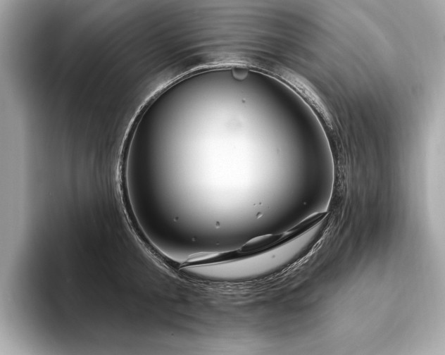 X0000094190805200710261130