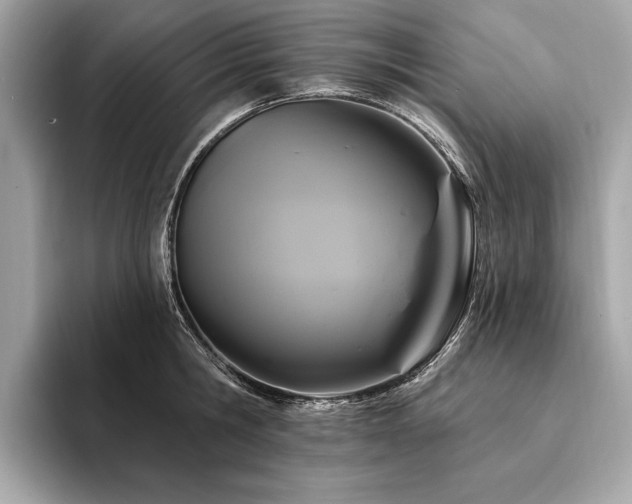 X0000094190806200710261130