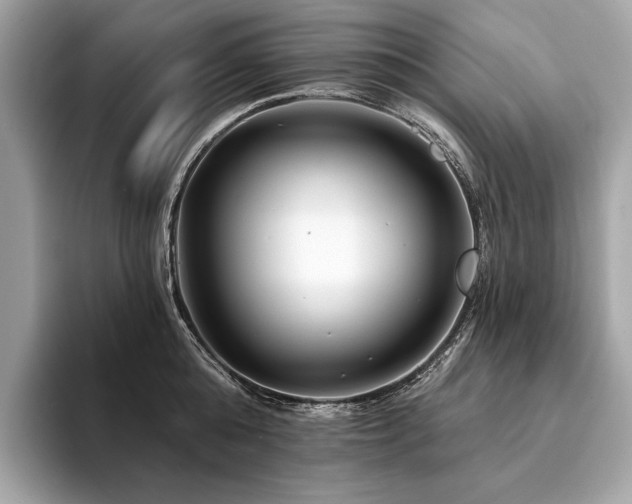 X0000094190808200710261130
