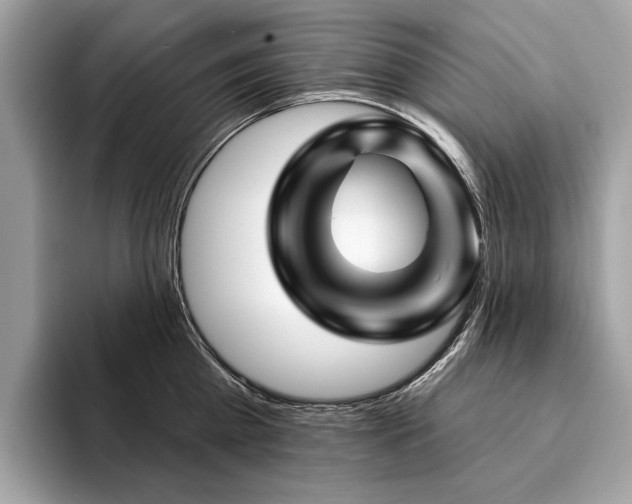 X0000094190809200710261130