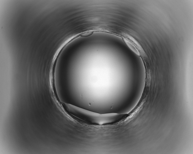X0000094190812200710261130