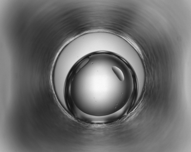 X0000094190813200710261130