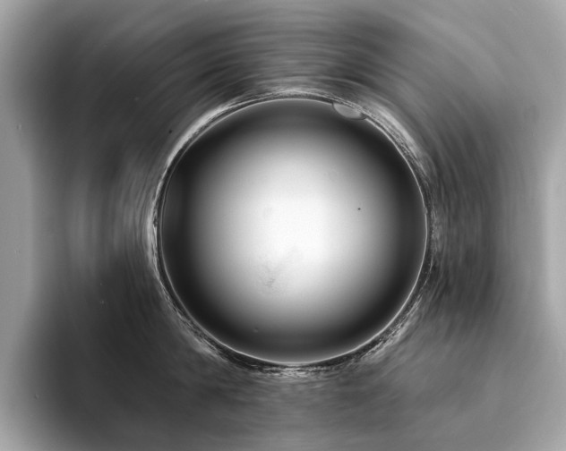 X0000094190814200710261130