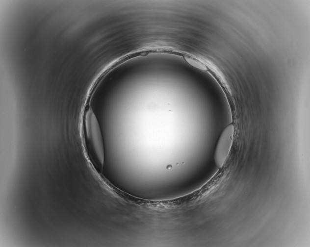 X0000094190815200710261130