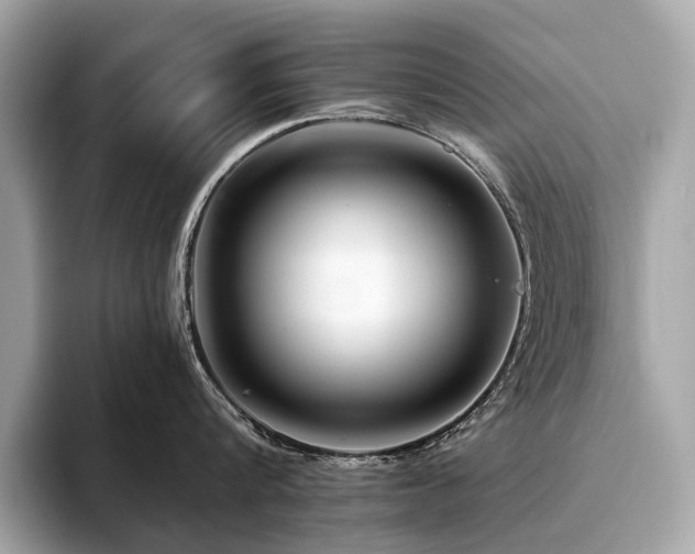 X0000094190816200710261130