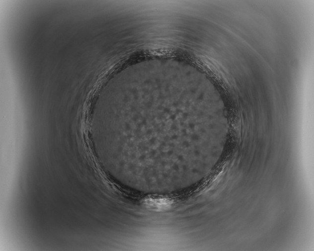 X0000094190817200710261129