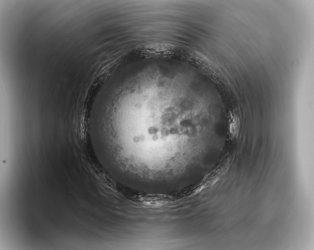 X0000094190819200710261129